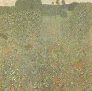 Gustav Klimt Poppy Field (mk20) oil on canvas